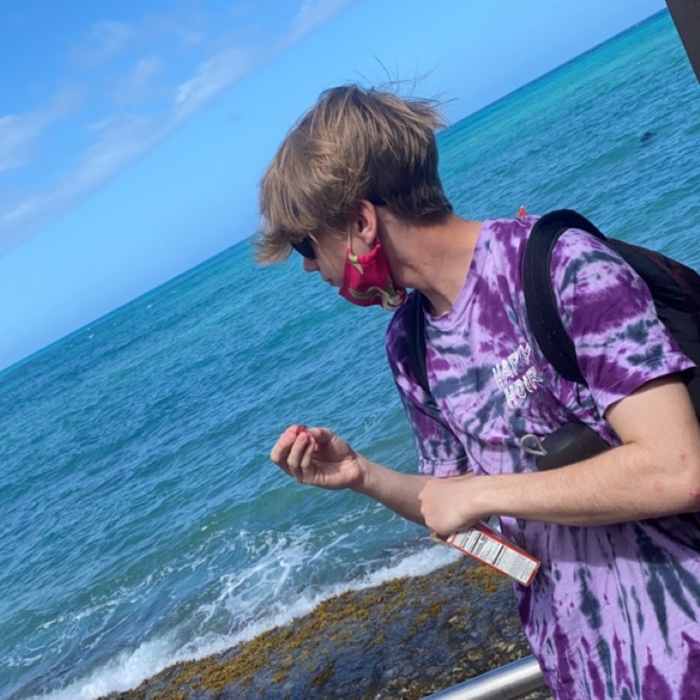 Meet your Posher, Cole